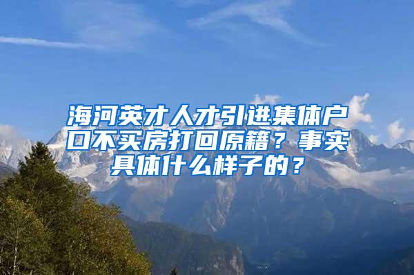 海河英才人才引进集体户口不买房打回原籍？事实具体什么样子的？