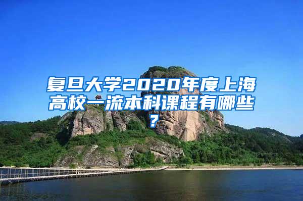 复旦大学2020年度上海高校一流本科课程有哪些？