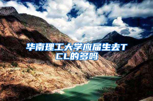 华南理工大学应届生去TCL的多吗
