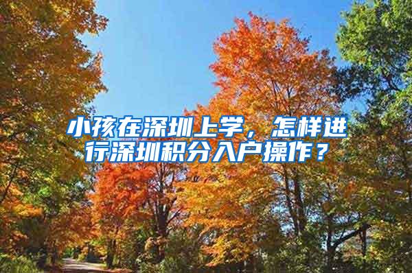小孩在深圳上学，怎样进行深圳积分入户操作？
