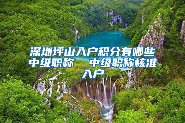 深圳坪山入户积分有哪些中级职称  中级职称核准入户