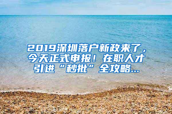 2019深圳落户新政来了，今天正式申报！在职人才引进“秒批”全攻略...