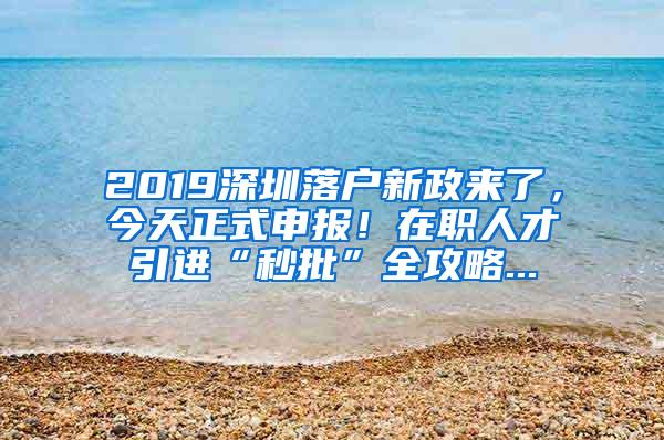 2019深圳落户新政来了，今天正式申报！在职人才引进“秒批”全攻略...