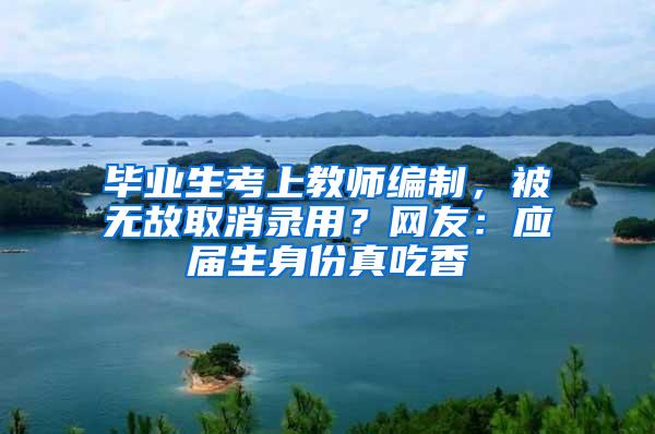 毕业生考上教师编制，被无故取消录用？网友：应届生身份真吃香