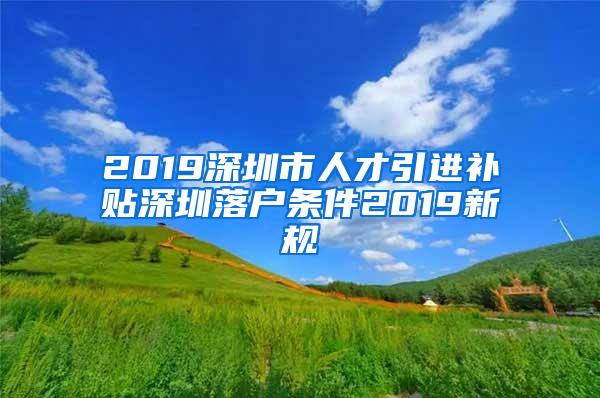 2019深圳市人才引进补贴深圳落户条件2019新规