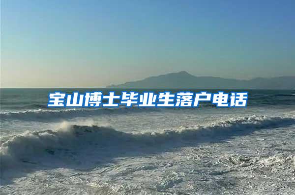 宝山博士毕业生落户电话