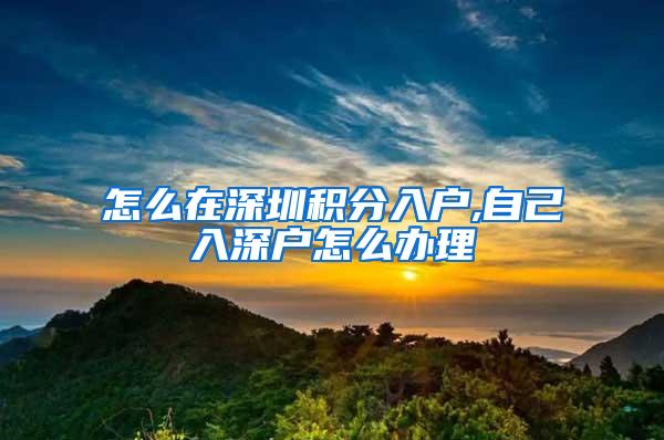 怎么在深圳积分入户,自己入深户怎么办理