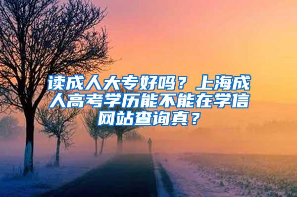 读成人大专好吗？上海成人高考学历能不能在学信网站查询真？