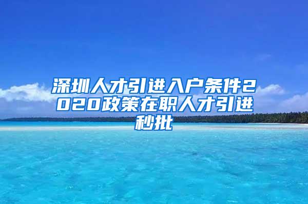 深圳人才引进入户条件2020政策在职人才引进秒批