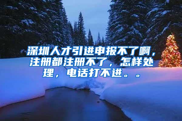 深圳人才引进申报不了啊，注册都注册不了，怎样处理，电话打不进。。