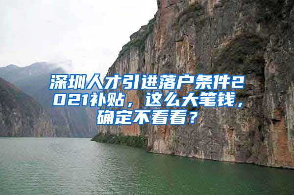 深圳人才引进落户条件2021补贴，这么大笔钱，确定不看看？