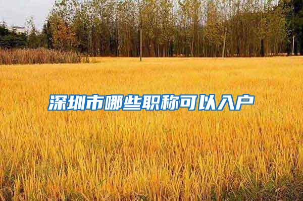 深圳市哪些职称可以入户
