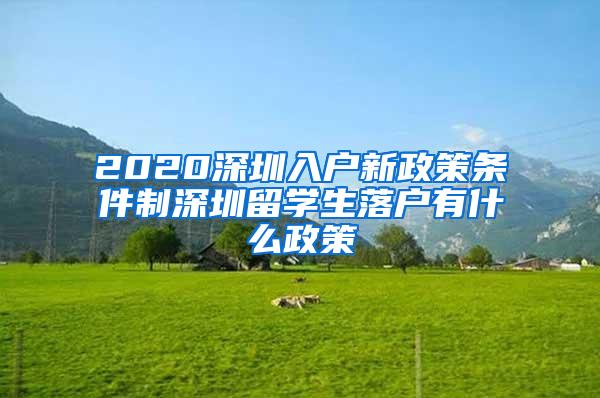 2020深圳入户新政策条件制深圳留学生落户有什么政策