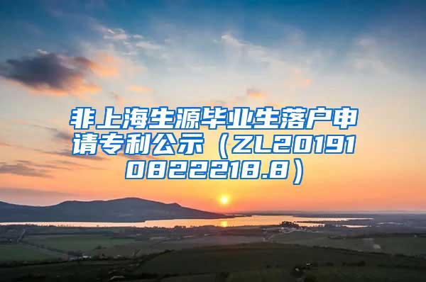 非上海生源毕业生落户申请专利公示（ZL201910822218.8）