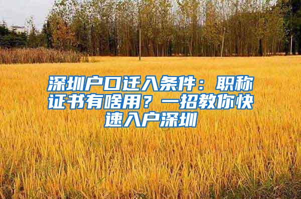 深圳户口迁入条件：职称证书有啥用？一招教你快速入户深圳