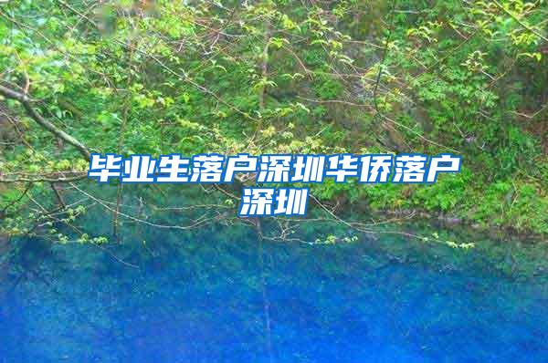 毕业生落户深圳华侨落户深圳