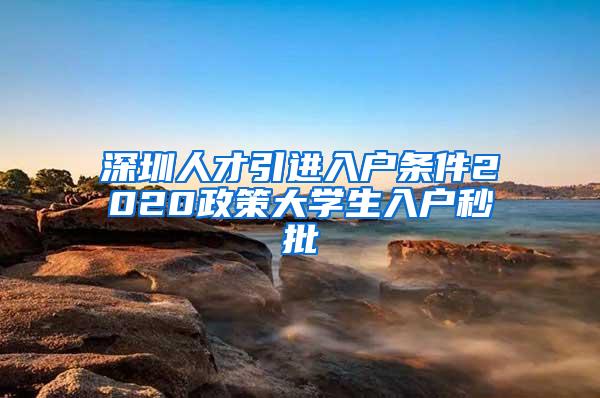 深圳人才引进入户条件2020政策大学生入户秒批