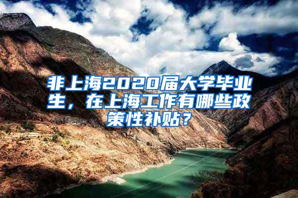 非上海2020届大学毕业生，在上海工作有哪些政策性补贴？