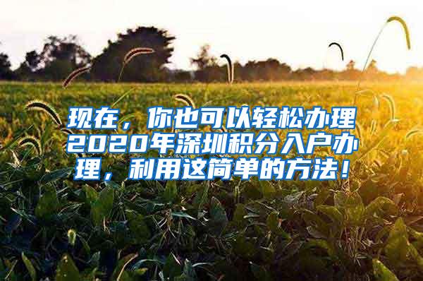 现在，你也可以轻松办理2020年深圳积分入户办理，利用这简单的方法！