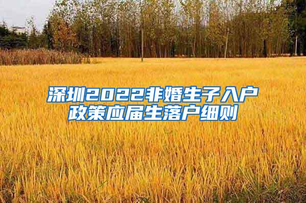 深圳2022非婚生子入户政策应届生落户细则