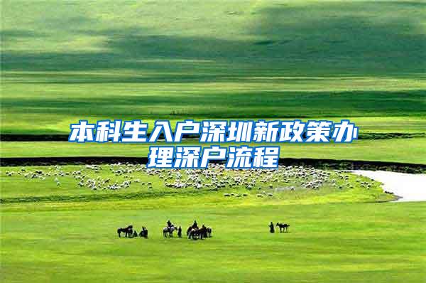 本科生入户深圳新政策办理深户流程