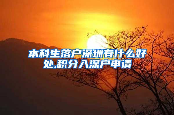 本科生落户深圳有什么好处,积分入深户申请