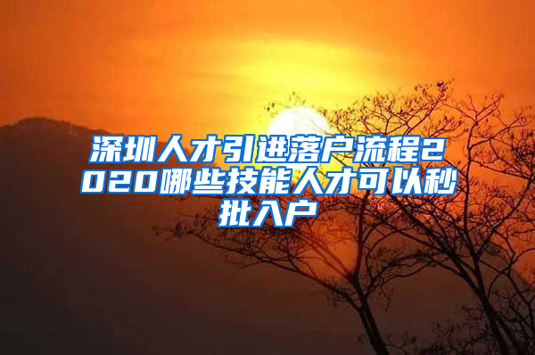 深圳人才引进落户流程2020哪些技能人才可以秒批入户