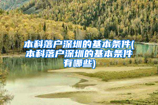 本科落户深圳的基本条件(本科落户深圳的基本条件有哪些)