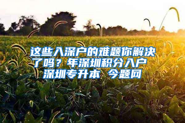 这些入深户的难题你解决了吗？年深圳积分入户 深圳专升本 今题网