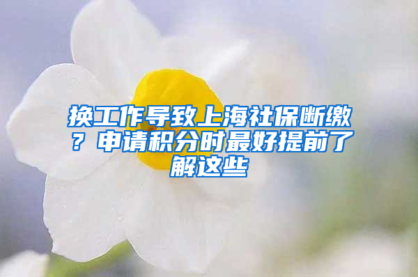 换工作导致上海社保断缴？申请积分时最好提前了解这些