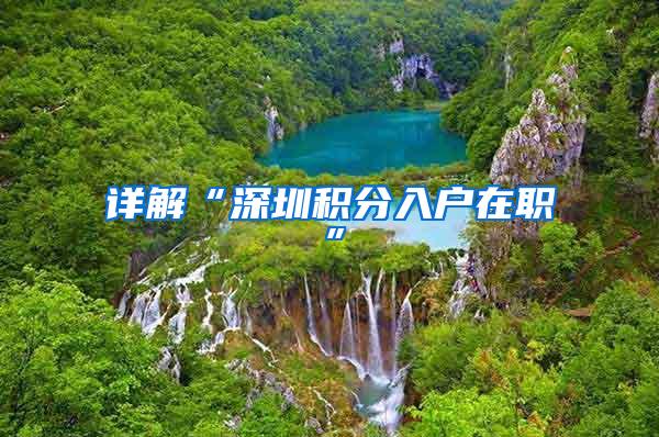 详解“深圳积分入户在职”