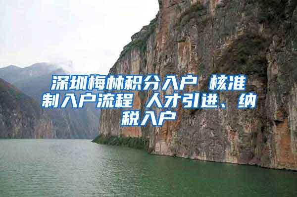 深圳梅林积分入户 核准制入户流程 人才引进、纳税入户