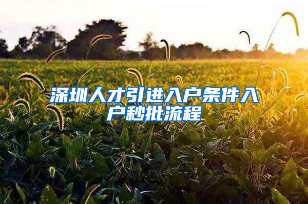 深圳人才引进入户条件入户秒批流程