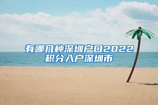 有哪几种深圳户口2022积分入户深圳市