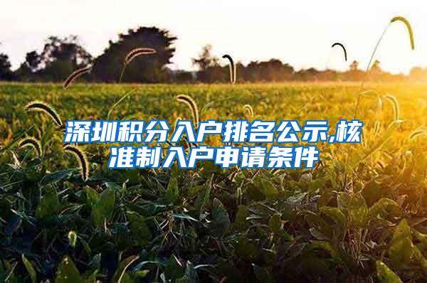 深圳积分入户排名公示,核准制入户申请条件