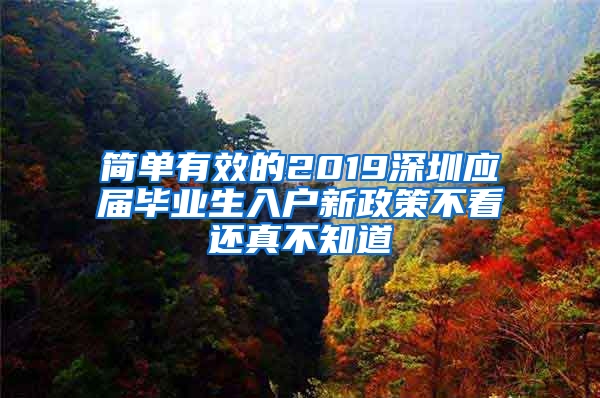 简单有效的2019深圳应届毕业生入户新政策不看还真不知道