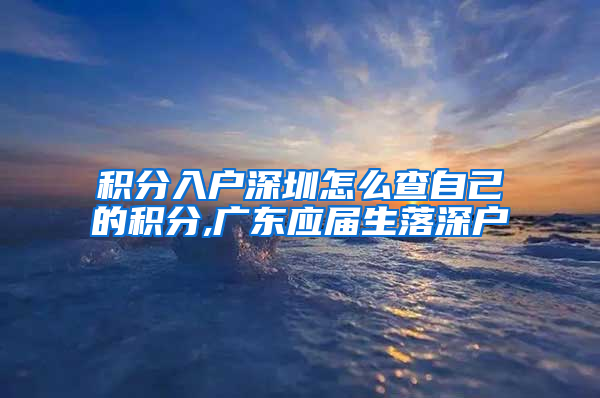 积分入户深圳怎么查自己的积分,广东应届生落深户