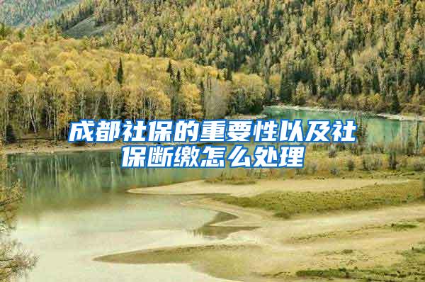 成都社保的重要性以及社保断缴怎么处理