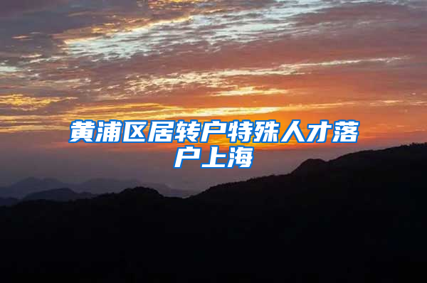 黄浦区居转户特殊人才落户上海