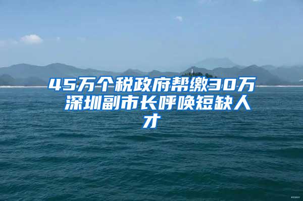 45万个税政府帮缴30万 深圳副市长呼唤短缺人才