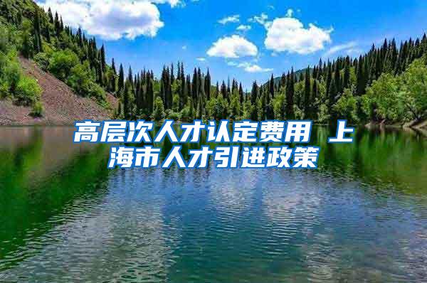 高层次人才认定费用 上海市人才引进政策