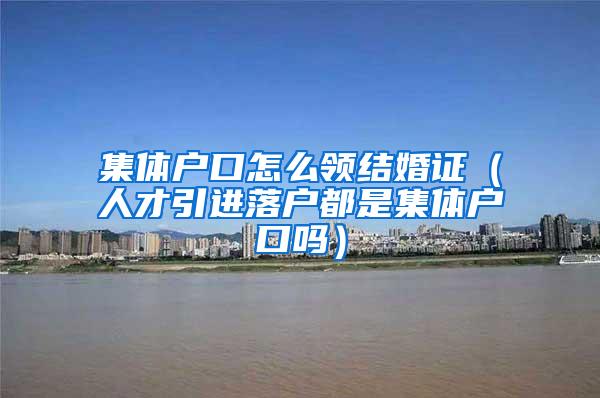 集体户口怎么领结婚证（人才引进落户都是集体户口吗）