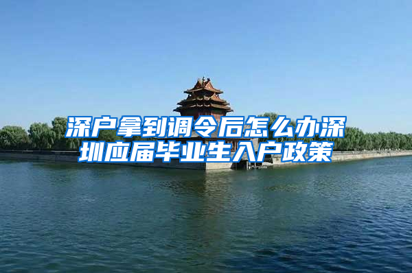 深户拿到调令后怎么办深圳应届毕业生入户政策