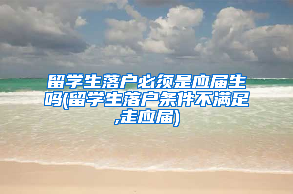 留学生落户必须是应届生吗(留学生落户条件不满足,走应届)