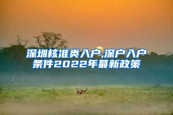 深圳核准类入户,深户入户条件2022年蕞新政策