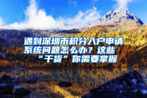 遇到深圳市积分入户申请系统问题怎么办？这些“干货”你需要掌握