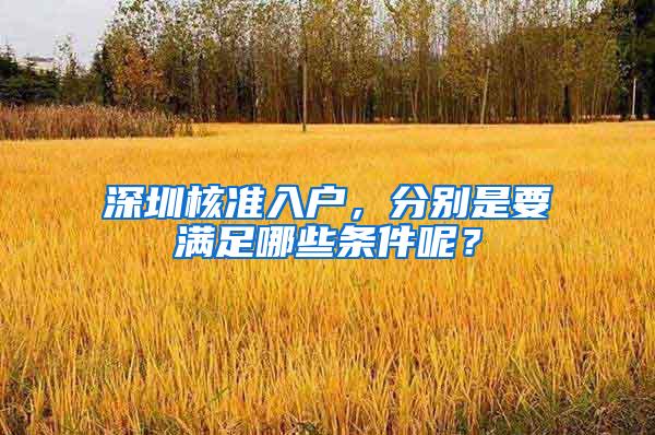 深圳核准入户，分别是要满足哪些条件呢？