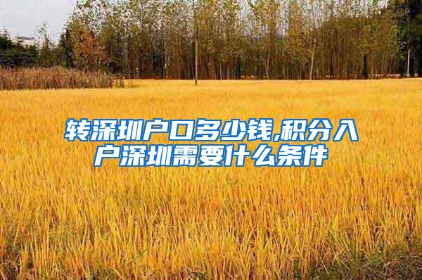 转深圳户口多少钱,积分入户深圳需要什么条件