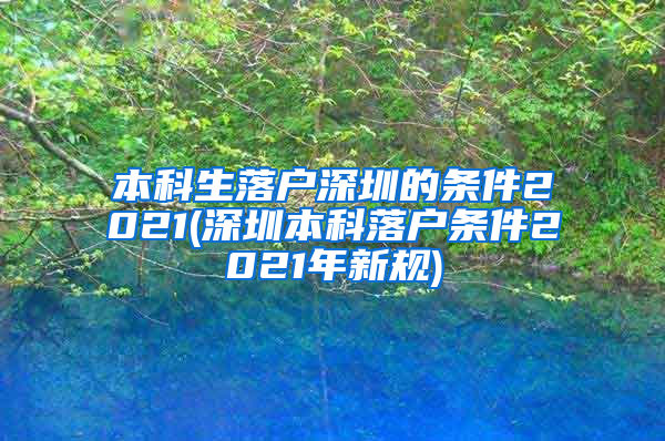 本科生落户深圳的条件2021(深圳本科落户条件2021年新规)