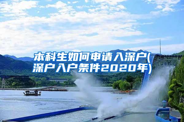 本科生如何申请入深户(深户入户条件2020年)